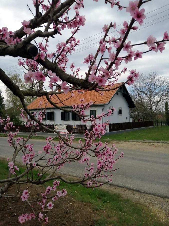 Szentgyoergyvoelgy Vendeghaz Orseg Otel Szentgyorgyvolgy Dış mekan fotoğraf